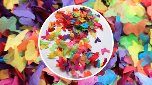 Eco Biodegradable  Butterfly Confetti - Rainbow mix