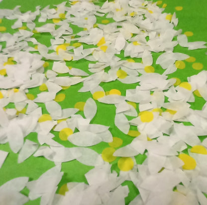 Biodegradable Daisy Petals Wedding Confetti - select your own colours