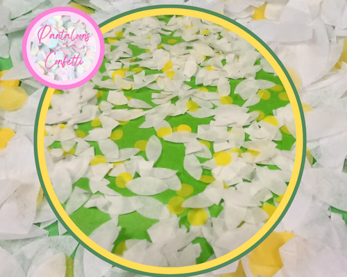 Biodegradable Daisy Petals Wedding Confetti - select your own colours
