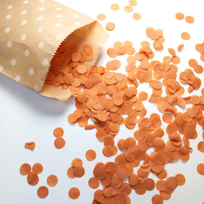 Biodegradable Wedding Confetti -  Burnt Orange