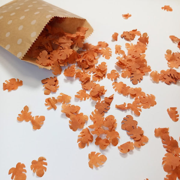 Biodegradable Wedding Confetti -  Burnt Orange