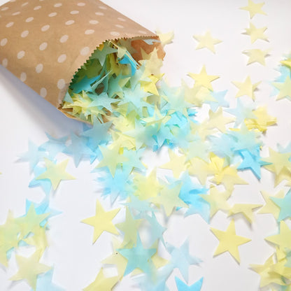 Biodegradable Wedding Confetti Pale Yellow and Baby Blue