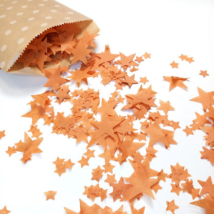 Biodegradable Wedding Confetti -  Burnt Orange