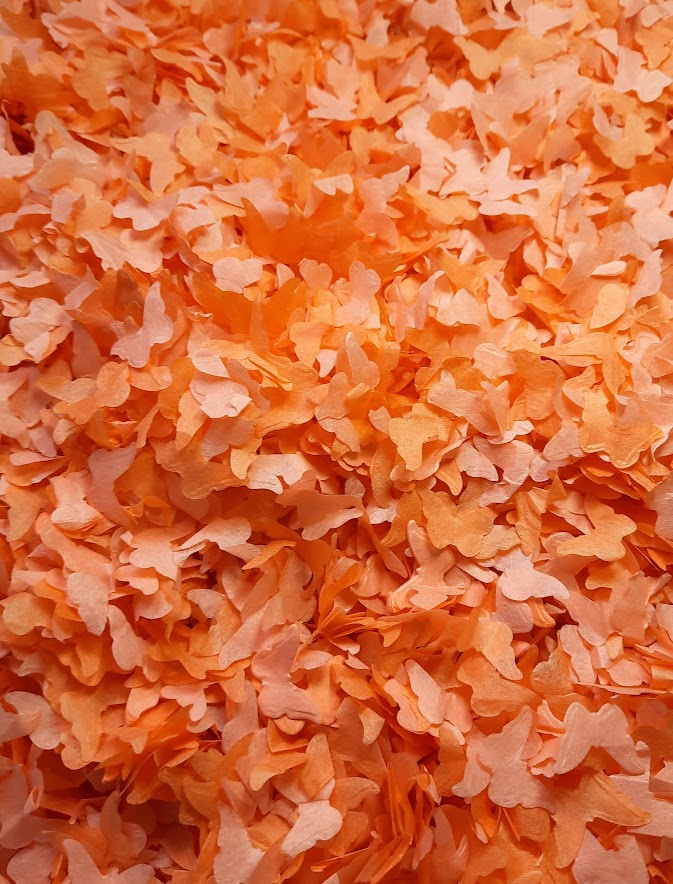 Eco Biodegradable  Butterfly Confetti - Coral and Orange