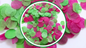 Biodegradable Wedding Confetti - Fuchsia Pink and Apple Green