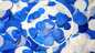 Biodegradable Wedding Confetti - Mid Blue and White