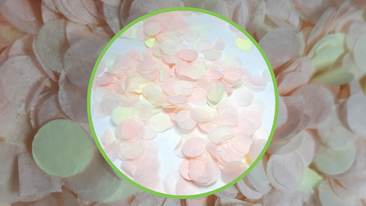 Biodegradable Wedding Confetti - Cream and Blush