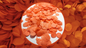 Biodegradable Wedding Confetti - Orange