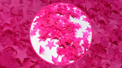 Biodegradable Wedding Confetti - Fuchsia Pink