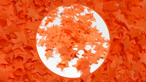 Biodegradable Wedding Confetti - Orange