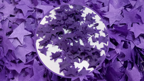 Biodegradable Wedding Confetti - Purple