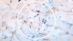 Eco Biodegradable Wedding Confetti - White